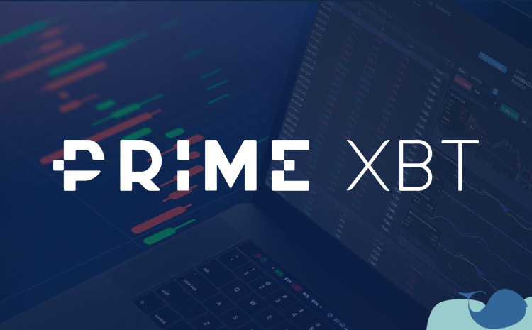 How to Maximize Your Profitability with PrimeXBT Trade How to Maximize Your Profitability with PrimeXBT Trade